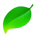 Coda 2
