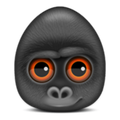 Debookee