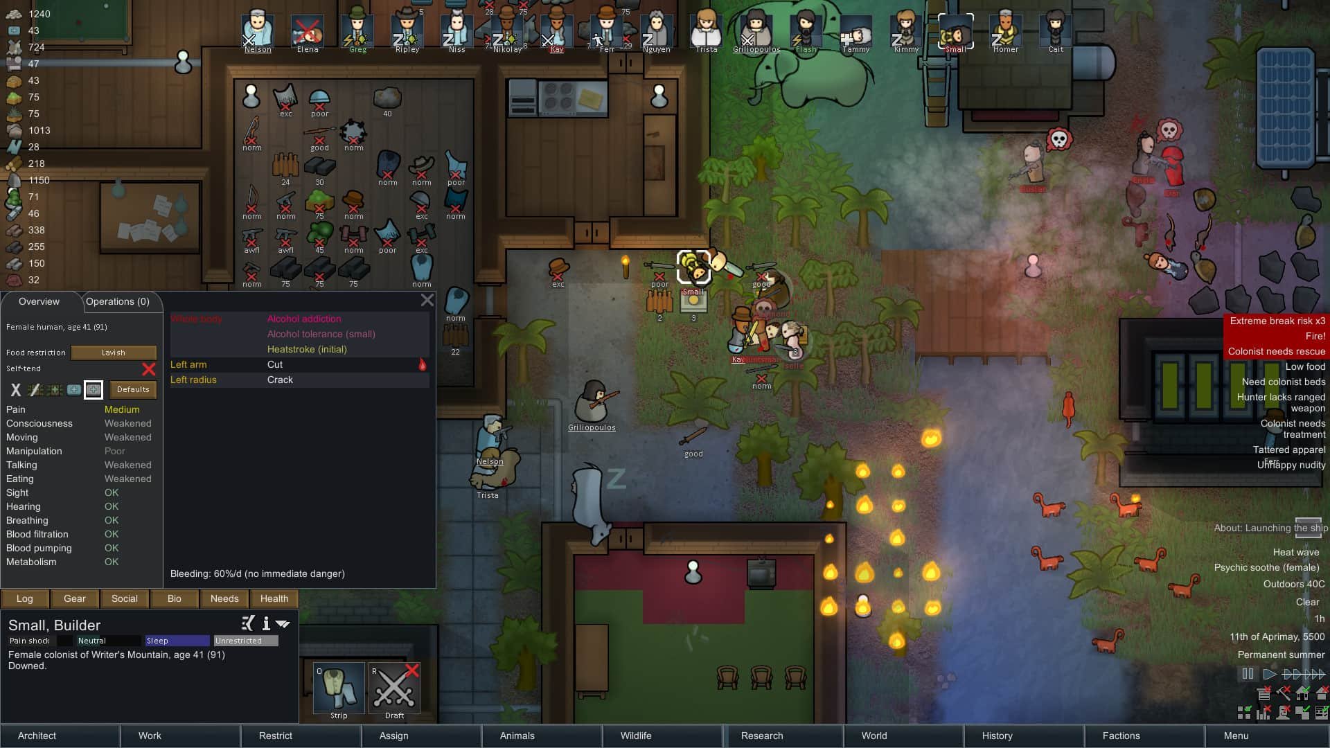 Скриншот RimWorld Скриншот RimWorld