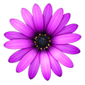 TextMate