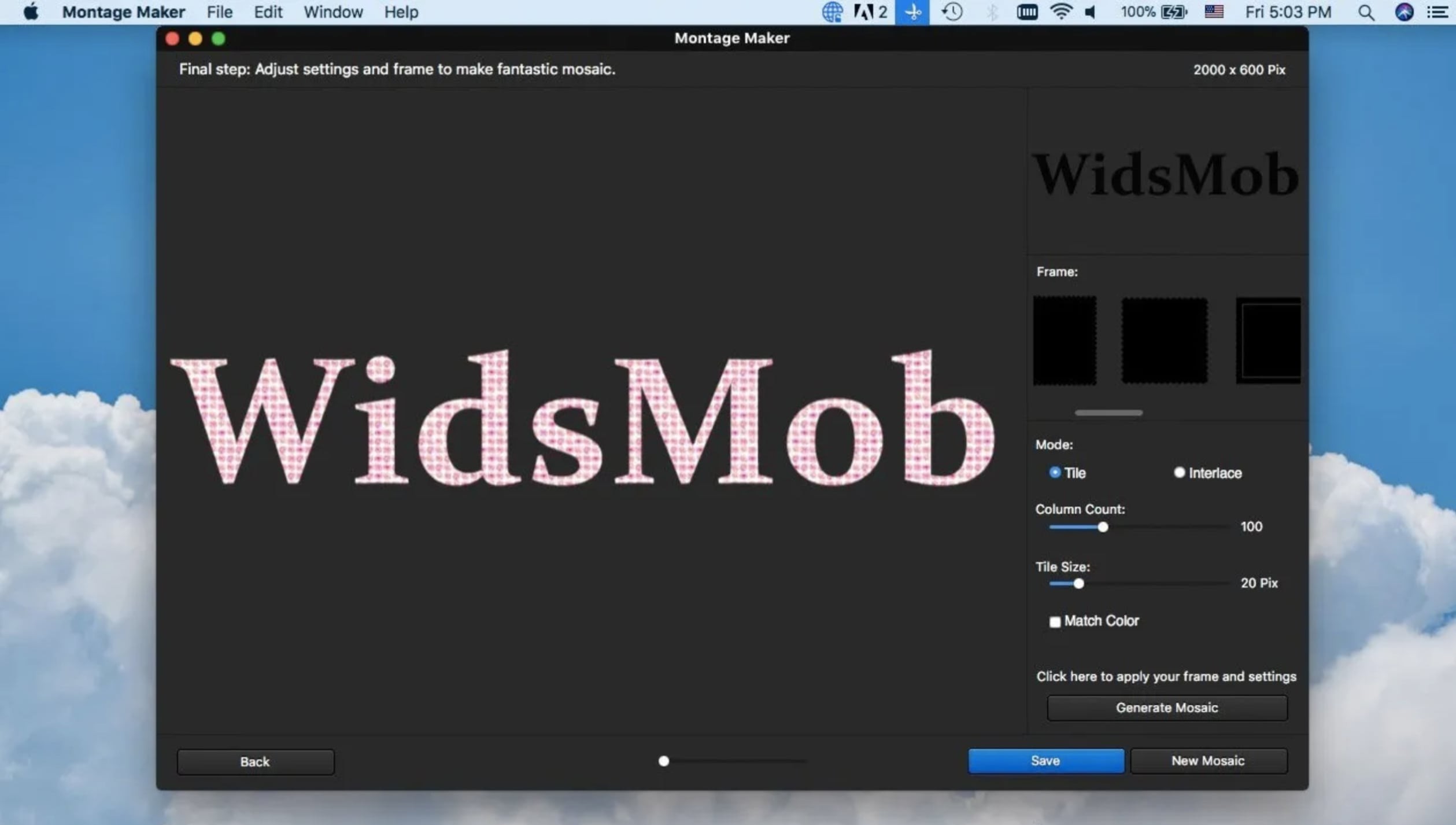 Скриншот WidsMob Montage Скриншот WidsMob Montage
