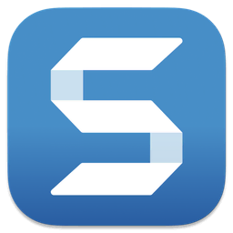 Snagit Snagit
