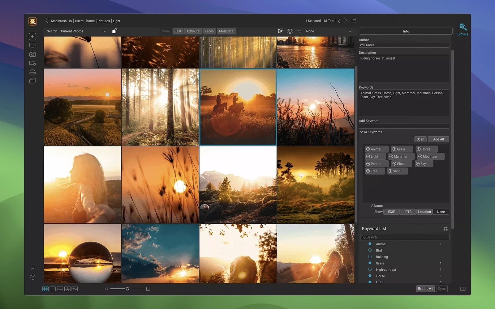 Скриншот ON1 Photo Keyword AI 2023.5 Скриншот ON1 Photo Keyword AI 2023.5