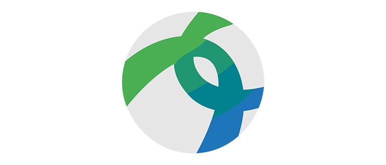 Cisco AnyConnect Secure Mobility Client 5.0.00529