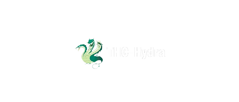THC Hydra v8.5  Windows