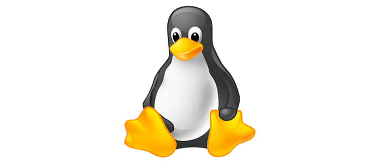 ZYKUroot 2.6    Windows